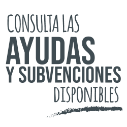 ayudasysubvenciones3